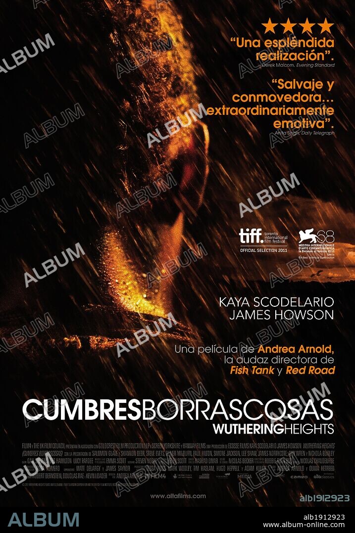 Poster de CUMBRES BORRASCOSAS, 2011 (WUTHERING HEIGHTS), dirigida por ANDREA ARNOLD. Copyright ECOSSE FILMS.