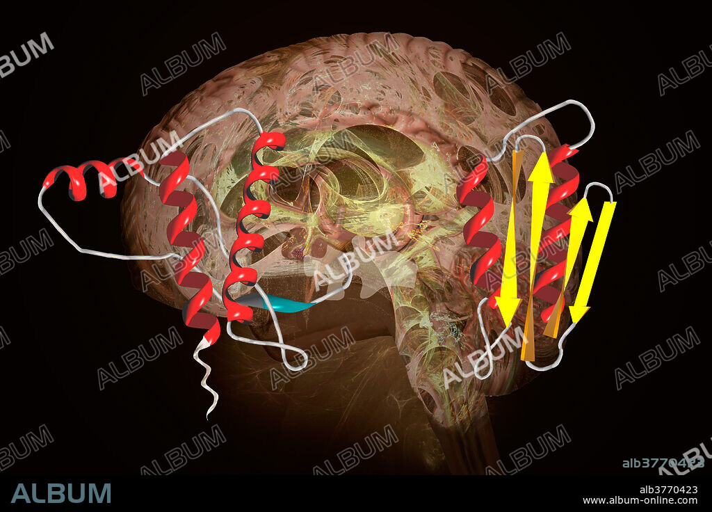 Digital illustration showing prions and a brain affected by Creutzfeldt-Jakob disease (CJD), the human form of mad cow disease (bovine spongiform encephalopathy). CJD is caused by a prion which promotes refolding of native proteins into the diseased state. The illustration shows both normal and misfolded proteins.