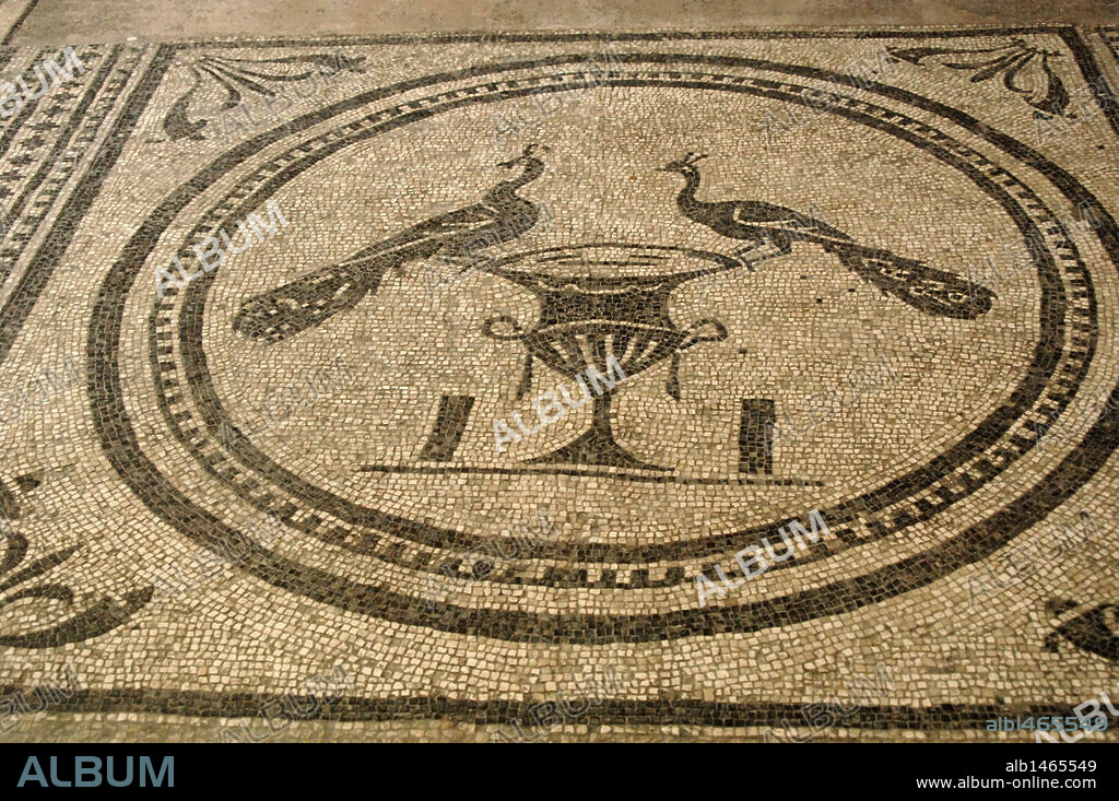 ARTE ROMANO. CROACIA. MOSAICO que representa a dos PAVOS REALES SOBRE UN JARRON. Museo Arqueológico. Pula.