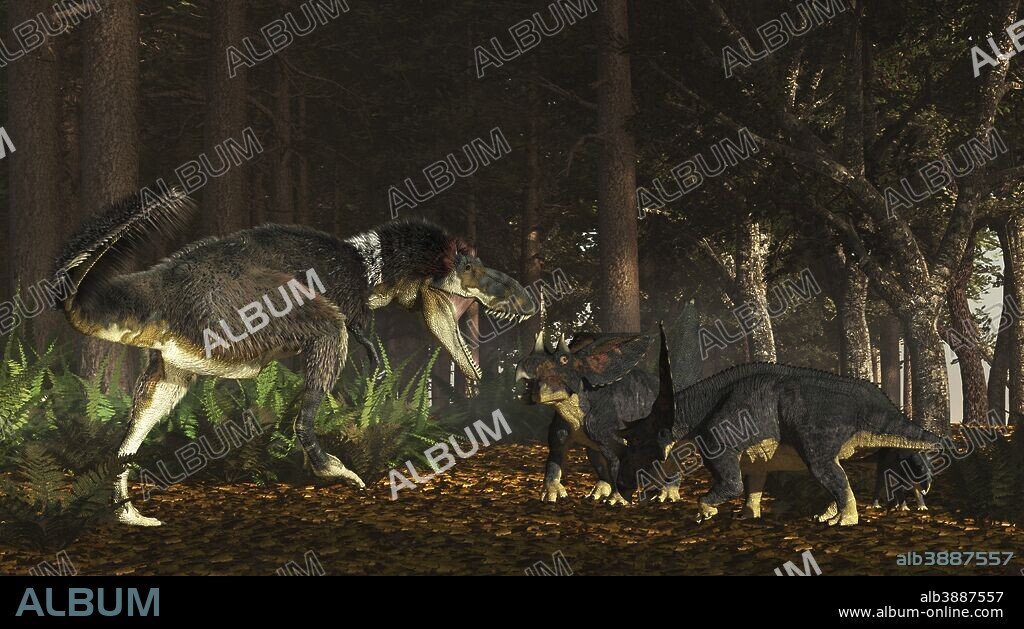 Daspletosaurus confronts a family of Chasmosaurus. Daspletosaurus was a late Creteaceous (75 million years ago) Tyrannosaurid of North America. They were about 26-30 feet long, but their teeth were more evolved for slashing rather than bone crunching like their later cousin, T-Rex. They would have preyed on such animals as the ceratopsian Chasmosaurus. This frilled and horned dinosaur was about 14-16 feet long. Chasmosaurus and Daspletosaurus all lived in southern Canada in Alberta and across Montanna and North Dakota.