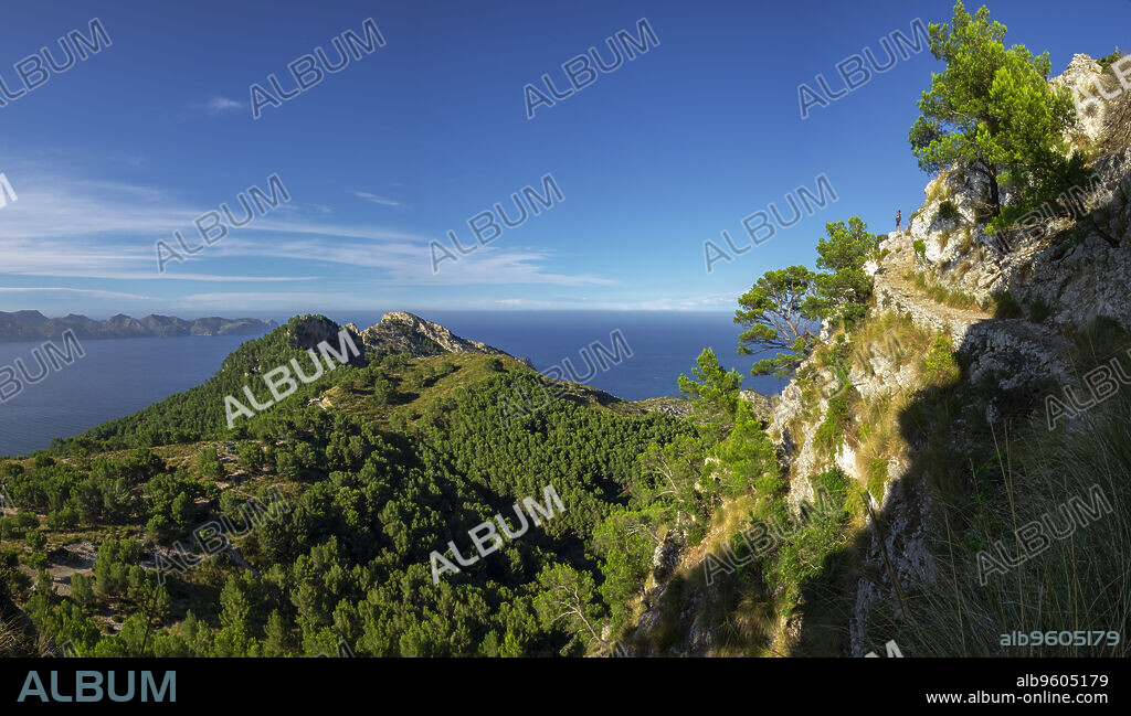 senda del Puig de Sa Talaia, área natural de la Victòria, Alcúdia, Mallorca, balearic islands, Spain.