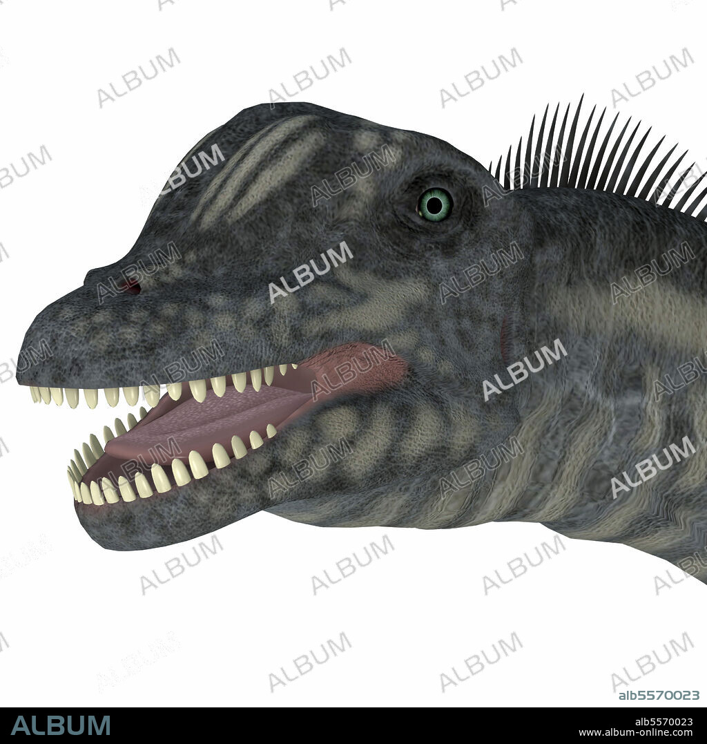 Sauroposeidon dinosaur portrait. Sauroposeidon was a sauropod herbivorous dinosaur that lived in North America during the Cretaceous Period.
