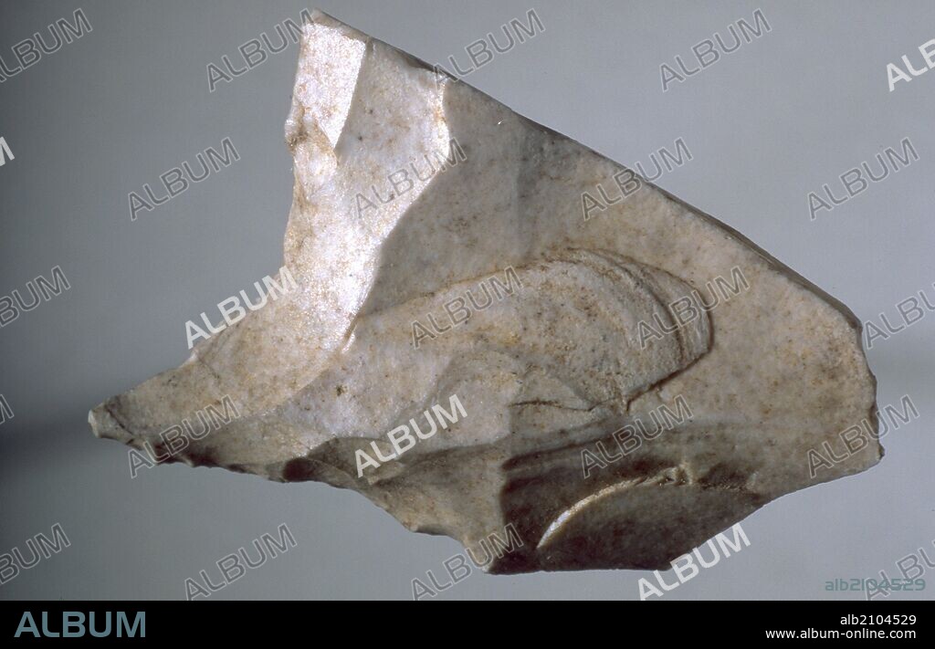 BURIL. PALEOLITICO. (DEPOSITO: MUSEO ARQUEOLOGICO NACIONAL).