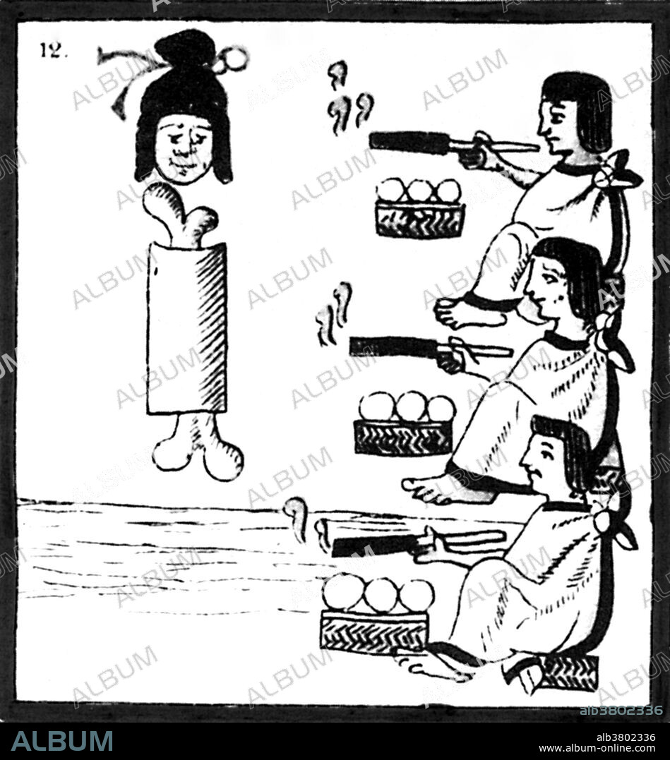 Plate from the Florentine Codex. Final ceremony of th Xipe sacrifice. Tobacco (Nicotiana tabacum), or picietl in nahuatl, was also used among the Aztecs. This plant was identified on the Xochipilli statue as well as on other items such as snuff boxes. The Aztec smoked and chewed tobacco, and possibly drank infusions of the plant to induce visions. Certain rites and ceremonies required the use of tobacco. The Florentine Codex is the common name given to a 16th century ethnographic research project in Mesoamerica by Franciscan friar Bernardino de Sahagun. Bernardino originally titled it: La Historia General de las Cosas de Nueva Espana (in English: the General History of the Things of New Spain). It consists of 2400 pages organized into twelve books with over 2000 illustrations drawn by native artists providing vivid images of this era. It documents the culture, religious cosmology, ritual practices, society, economics, and natural history of the Aztec people.