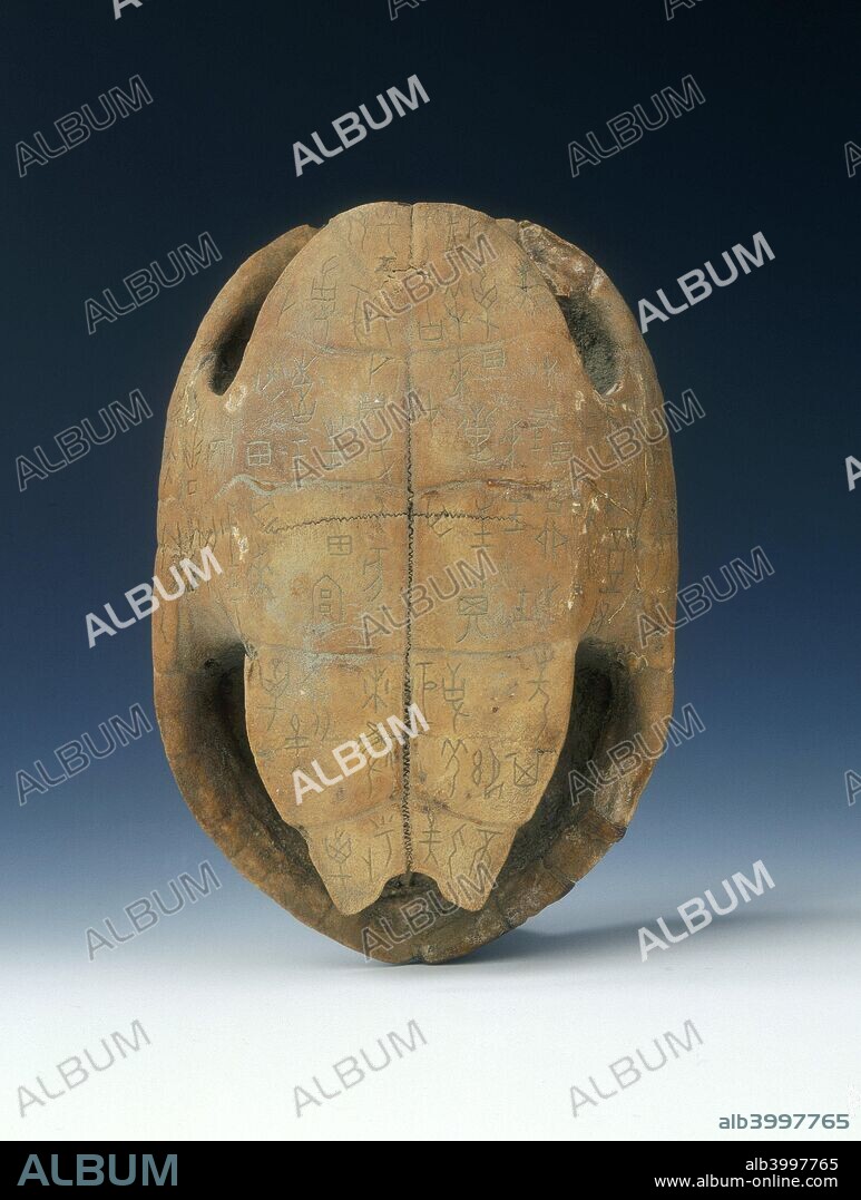 Petrified tortoise shell with oracle bone inscriptions, possibly Shang Dynasty, China, c1400 BC. A small petrified tortoise shell of pale buff colour. The base is inscribed all over with ancient oracle bone seal characters.