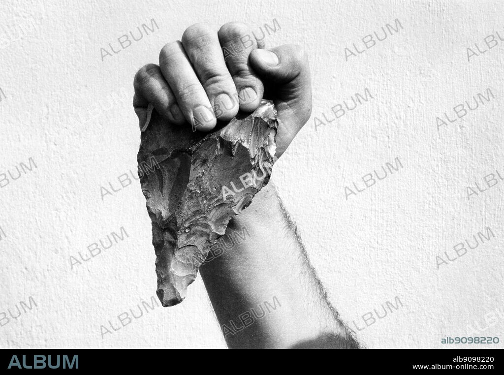 Acheulean flint hand axe - Acheulean is the name given to an archaeological industry of stone tool manufacture associated with prehistoric hominins during the Lower Palaeolithic era across Africa and much of Asia and Europe. It was the dominant technology for the vast majority of human history and more than one million years ago it was Acheulean tool users who left Africa to first successfully colonize Eurasia. Their distinctive oval and pear-shaped handaxes have been found over a wide area and some examples attained a very high level of sophistication suggesting that the roots of human art, economy and social organisation arose as a result of their development. Although it developed in Africa, the industry is named after the type site of Saint Acheul, now a suburb of Amiens in northern France, where some of the first examples were identified in the nineteenth century. ©TopFoto.