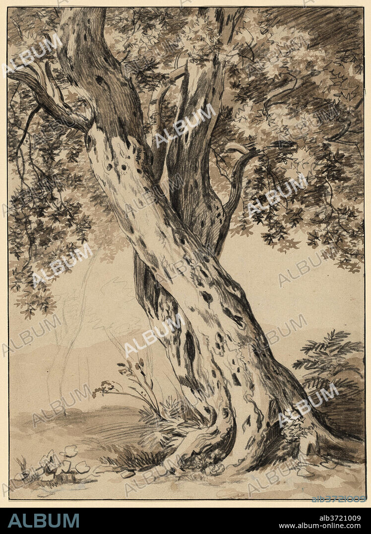 JOHANN CHRISTIAN REINHART. Two Intertwined Oak Trees. Dated: c. 1800. Dimensions: sheet: 35.6 × 25.9 cm (14 × 10 3/16 in.). Medium: black chalk with brown wash on laid paper.