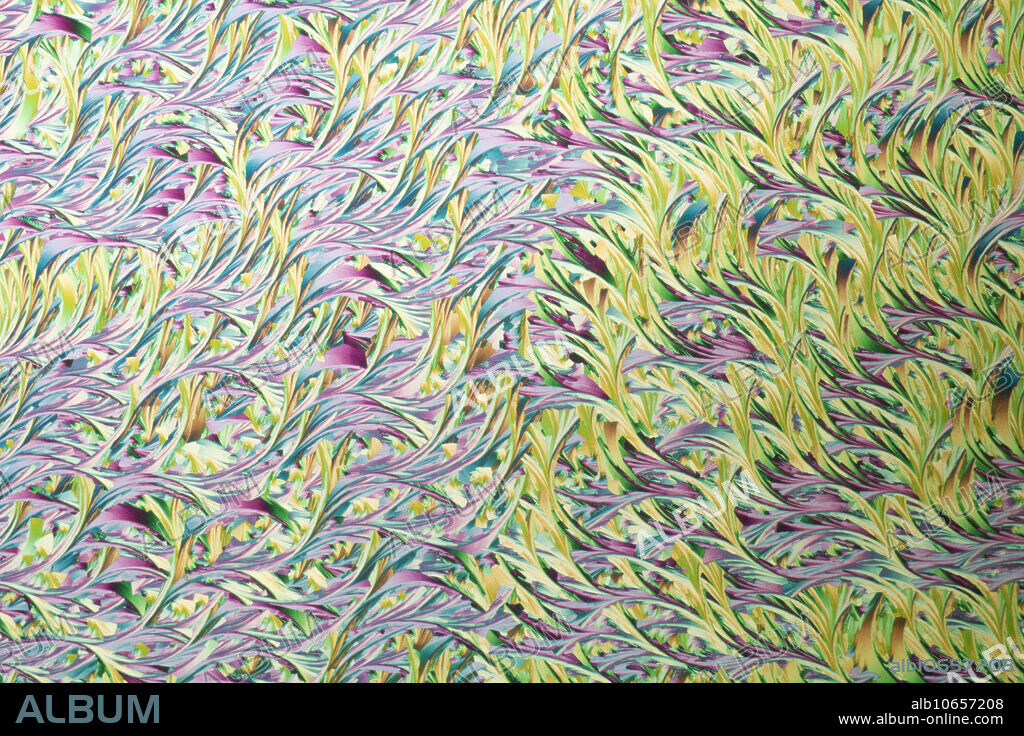 A mixture of Lactic Acid and Salicylic Acids produces botanical vine like crystalline formations. The combination of these compounds among others are the main ingredients of skin creams. They help to remove the hard layer of keratin that builds up on top of the dead skin cells and increase moisture content in the skin. The color arises due to birefringence and insertion of a waveplate in the optical train of the microscope. When printed 10cm wide, magnification x28.
