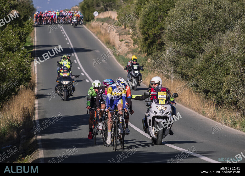 Challenge Ciclista Mallorca 2019, carretera de S Aranjassa, Mallorca, balearic islands, Spain.