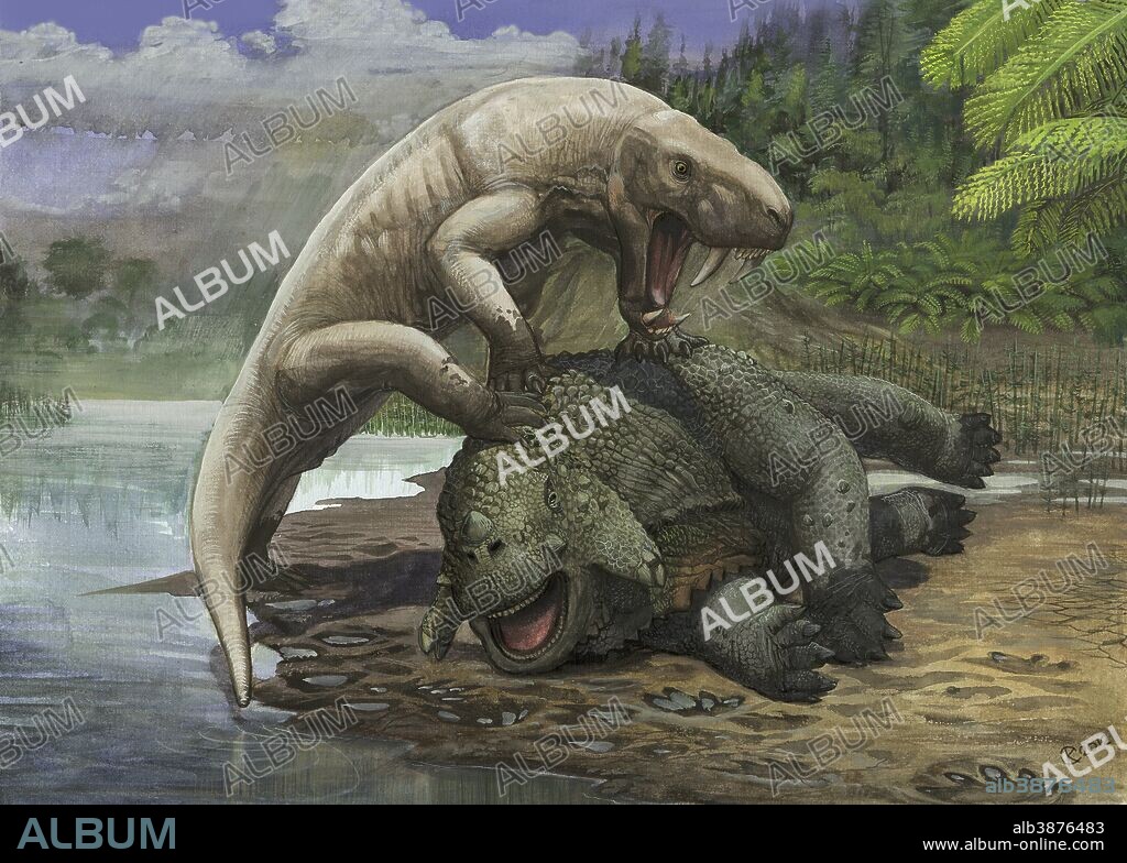 An Inostrancevia alexandri attacks a Scutosaurus karpinski in prehistoric times.