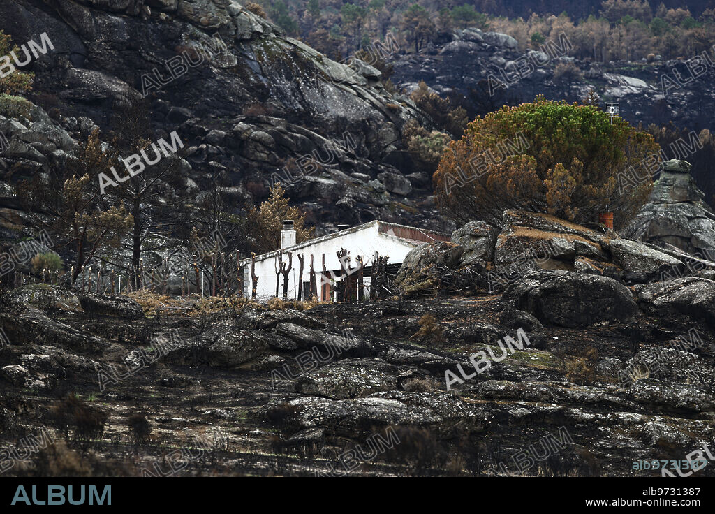 Ávila, 09/16/2021. Report from the towns Sotalbo and Solosancho, in the Sierra de los Baldíos, province of Ávila, where a fire broke out last month that burned 20,000 hectares in the area. Photo: Jaime García. ARCHDC.