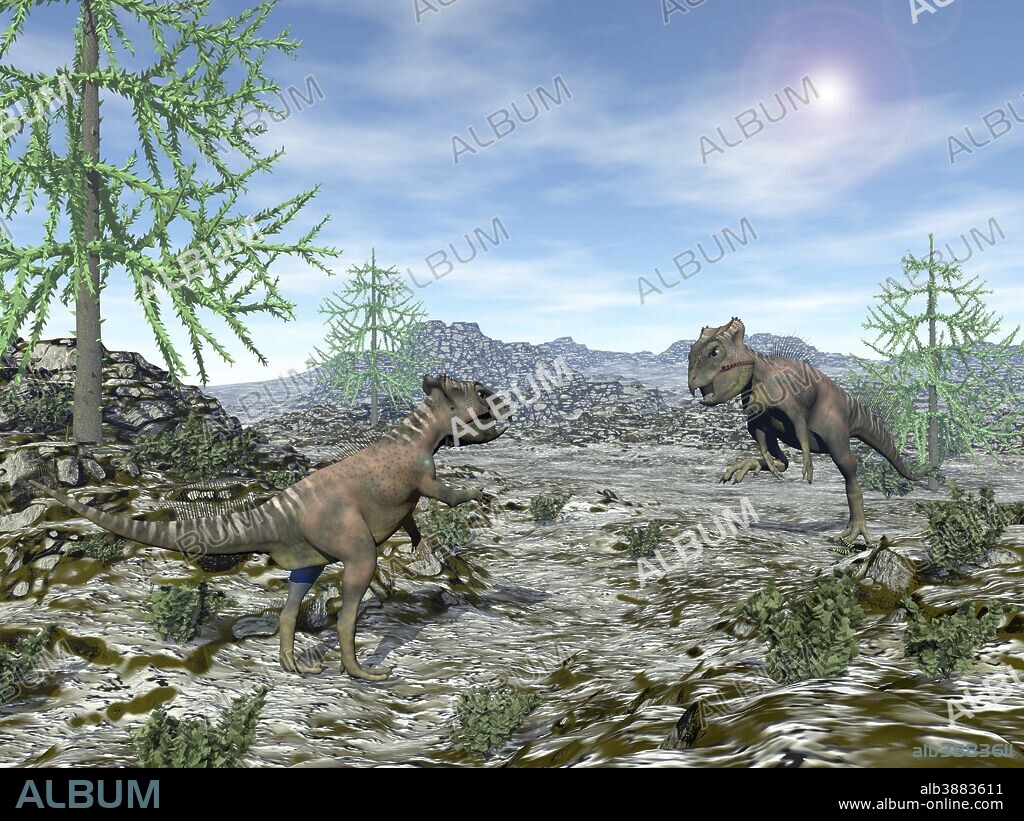 Two Archaeoceratops dinosaurs confront each other in the desert with Araucaria trees on a sunny day.