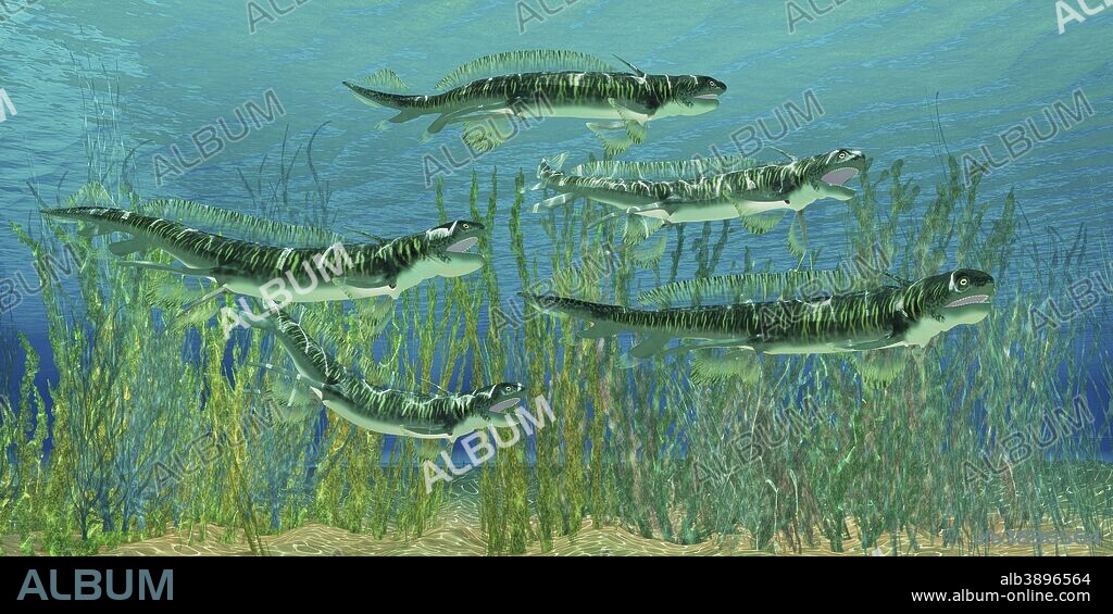Orthacanthus was a freshwater shark that thrived in the Devonian Period.