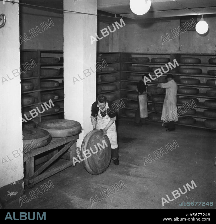 Food / Dairy Products:. Cheese. Dairy in France. Photo, c. 1960.
