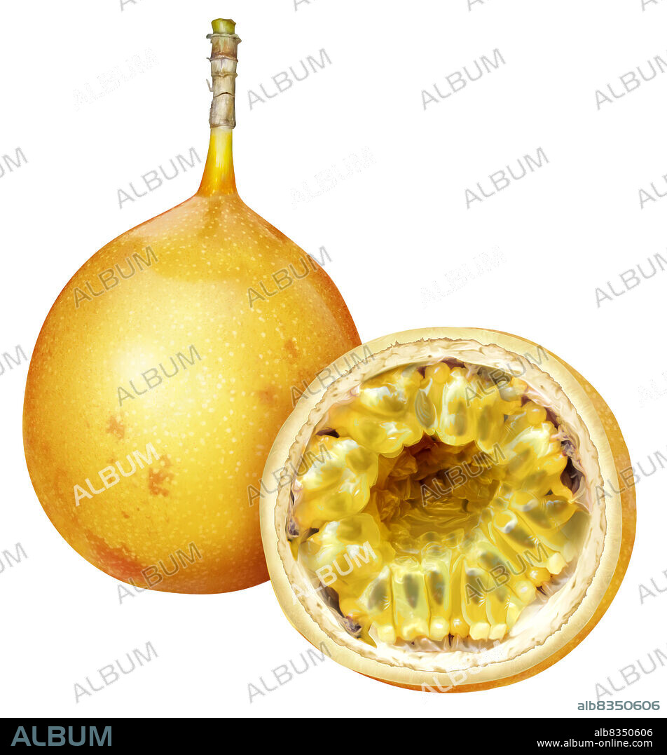 The yellow granadilla is bigger and more acidic than the red one.