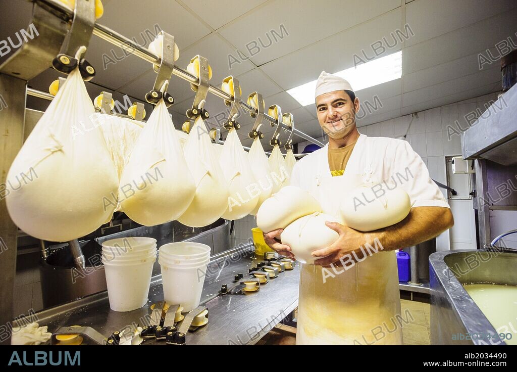 fabricacion artesanal de queso Binigarba - denominacion de origen Mahon artesano- finca Binigarba, Ciutadella, Menorca, Islas Baleares, españa, europa.