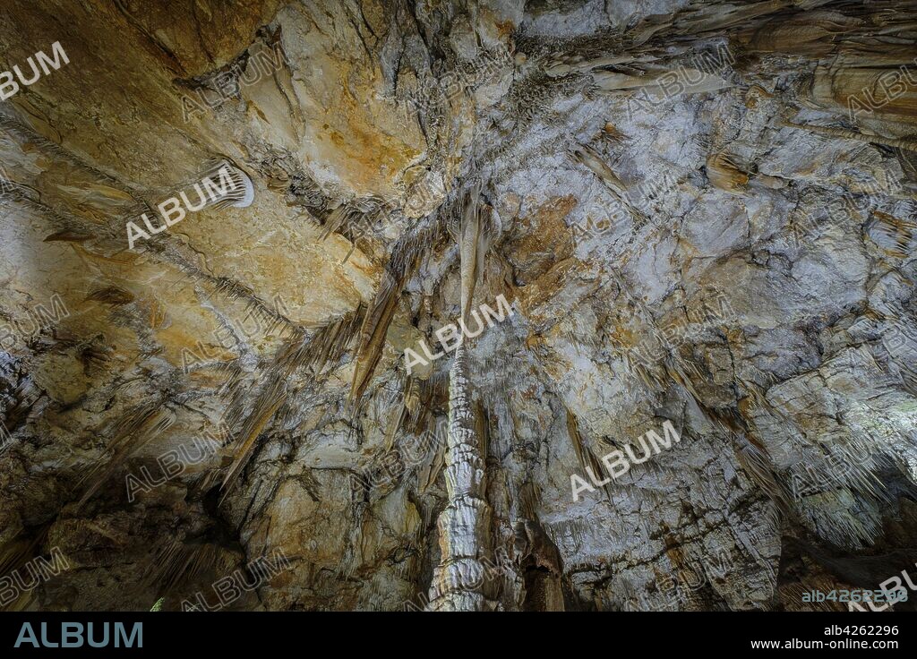 cuevas de Campanet, Paraje natural de la Serra de Tramuntana, Mallorca, balearic islands, Spain.