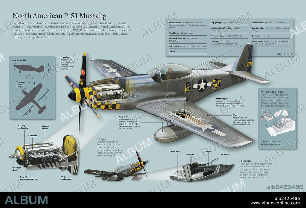 North American P-51 Mustang. Infographic of the North American P-51 Mustang, considered by many as the best hunter plane of World War II.