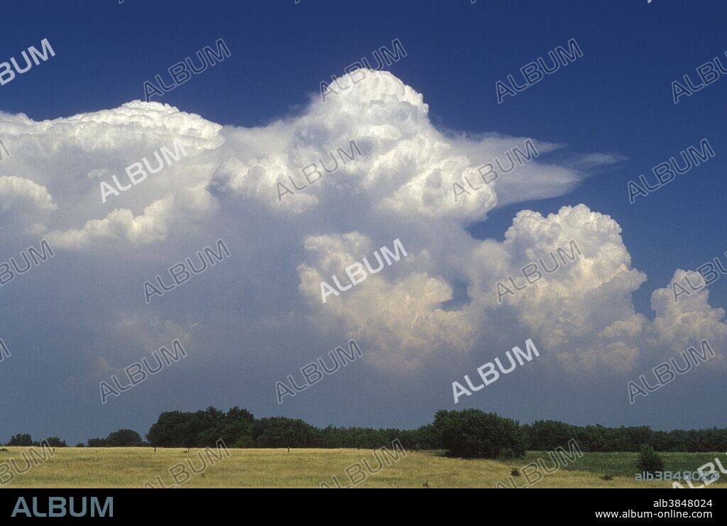 Cumulus congestus clouds with developing updraft. Cumulus congestus clouds are characterized by a vertical development and sharp outlines. They often transform into cumulonimbus clouds.
