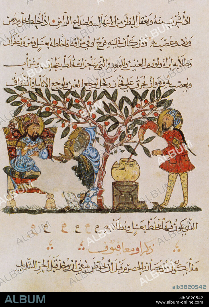 Dioscorides,  ""De Materia Medica"", 13th Century