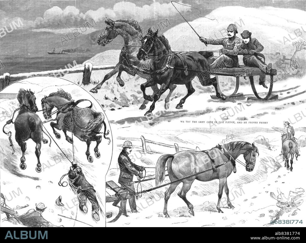 'Sledging in the Isle of Bute', 1886. From "The Graphic. An Illustrated Weekly Newspaper Volume 33. January to June, 1886".