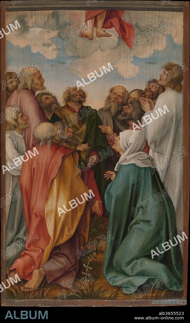 HANS SÜSS VON KULMBACH. The Ascension of Christ. Artist: Hans Süss von Kulmbach (German, Kulmbach ca. 1480-1522 Nuremberg). Dimensions: Overall 24 1/4 x 15 in. (61.5 x 38.1 cm); painted surface 24 1/4 x 14 1/8 in. (61.5 x 35.9 cm). Date: 1513.
This Ascension of Christ into heaven is emphasized by depicting him as leaving the pictorial space. Only his feet and lower legs, engulfed by clouds, appear at the top, while on the ground the twelve apostles and the Virgin Mary witness his departure. Kulmbach, who trained with Dürer, adapted the composition from a woodcut in his teacher's <i>Small Passion</i> series. This painting and eight others (now dispersed among various museums) once comprised the wings and predella panel of an altarpiece devoted to the life of the Virgin. A sculpted <i>Coronation of the Virgin</i> (Germanisches Nationalmuseum, Nuremberg) was the centerpiece.