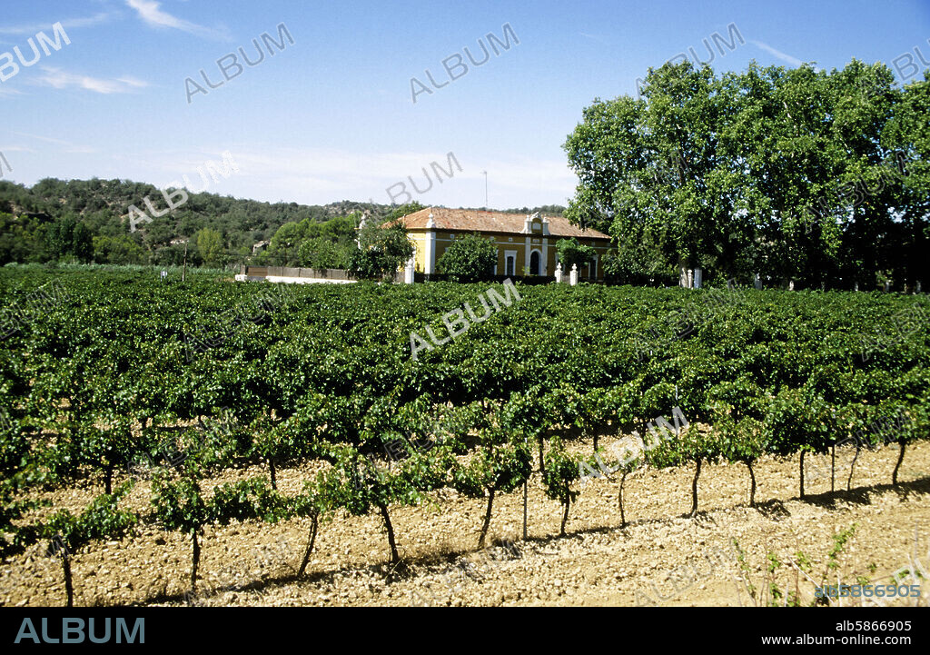 Barbastro (D.O. Somontano); viñedos de Bodegas Lalanne en Salas Bajas.