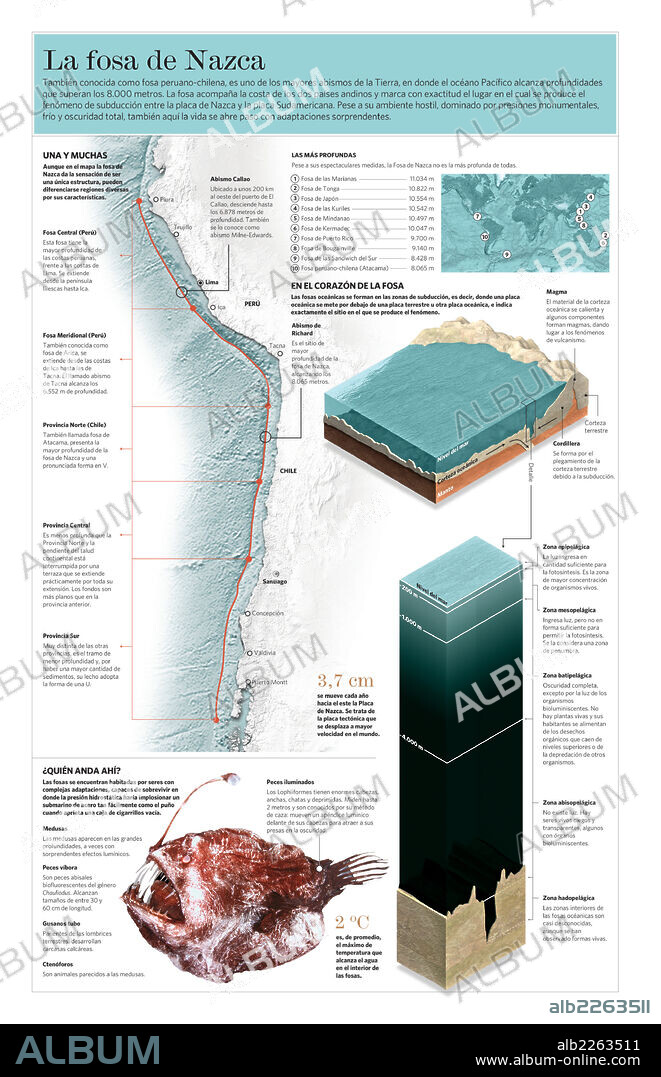 La fosa de Nazca. Infografía de las características físicas y la fauna de la fosa de Nazca, en la costa andina del océano Pacífico.