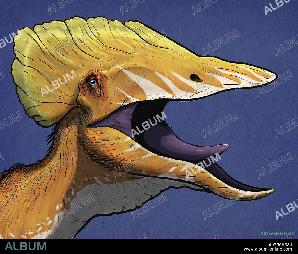 Portrait of a Tupuxuara dinosaur.