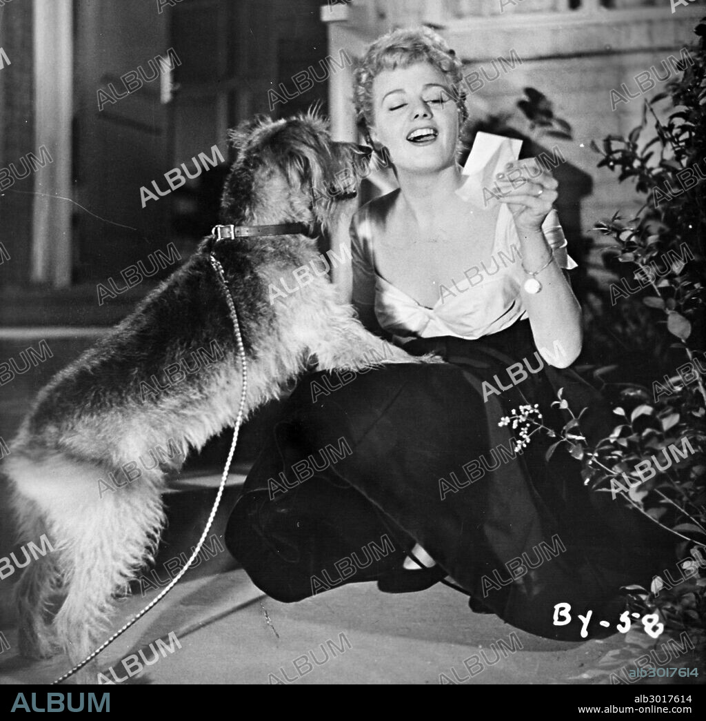 SHELLEY WINTERS in PHONE CALL FROM A STRANGER, 1952, directed by JEAN NEGULESCO. Copyright 20TH CENTURY FOX.