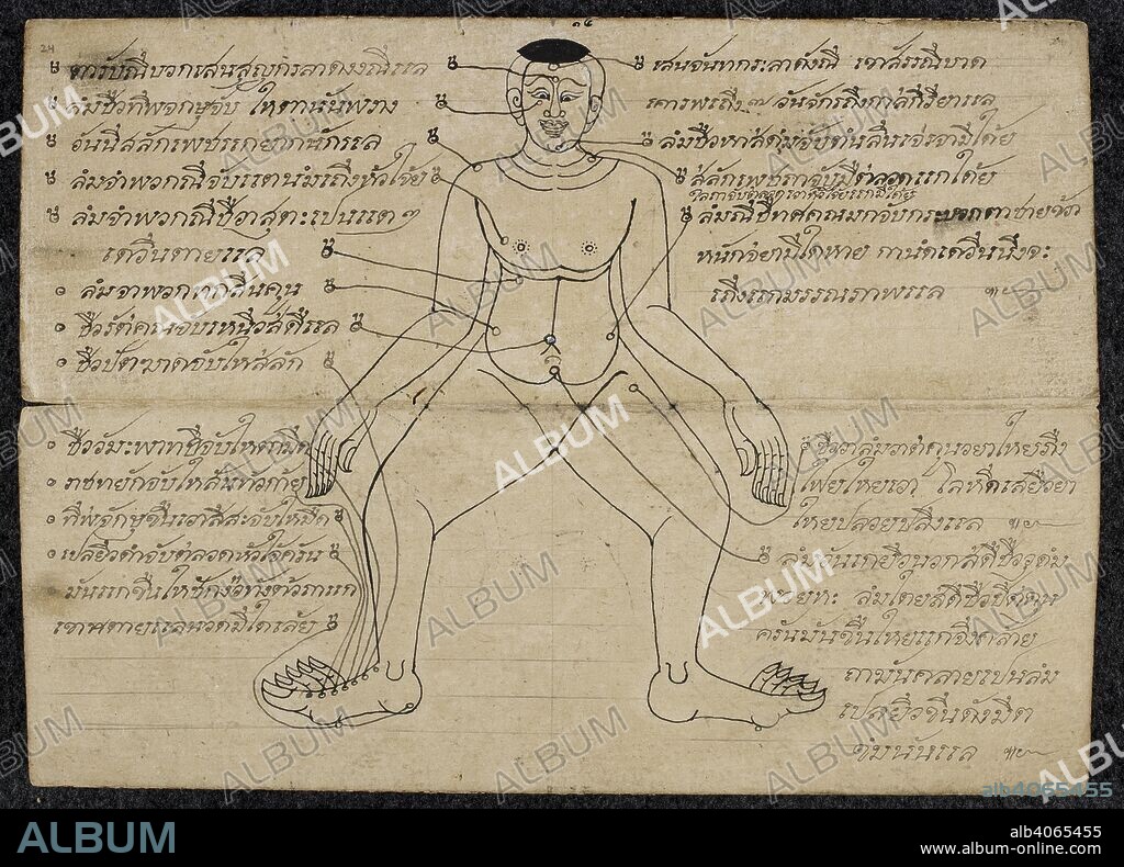 Thai medical diagram showing the pressure points on a Human body. Massage treatise. Thailand, 1800 - 1850. Paper folding book (samut khoi). Dimensions: 355 mm x 127 mm. Script: 4 lines per side, 31 cm long. Thai script. Source: Or. 13922 f.24. Language: Thai.