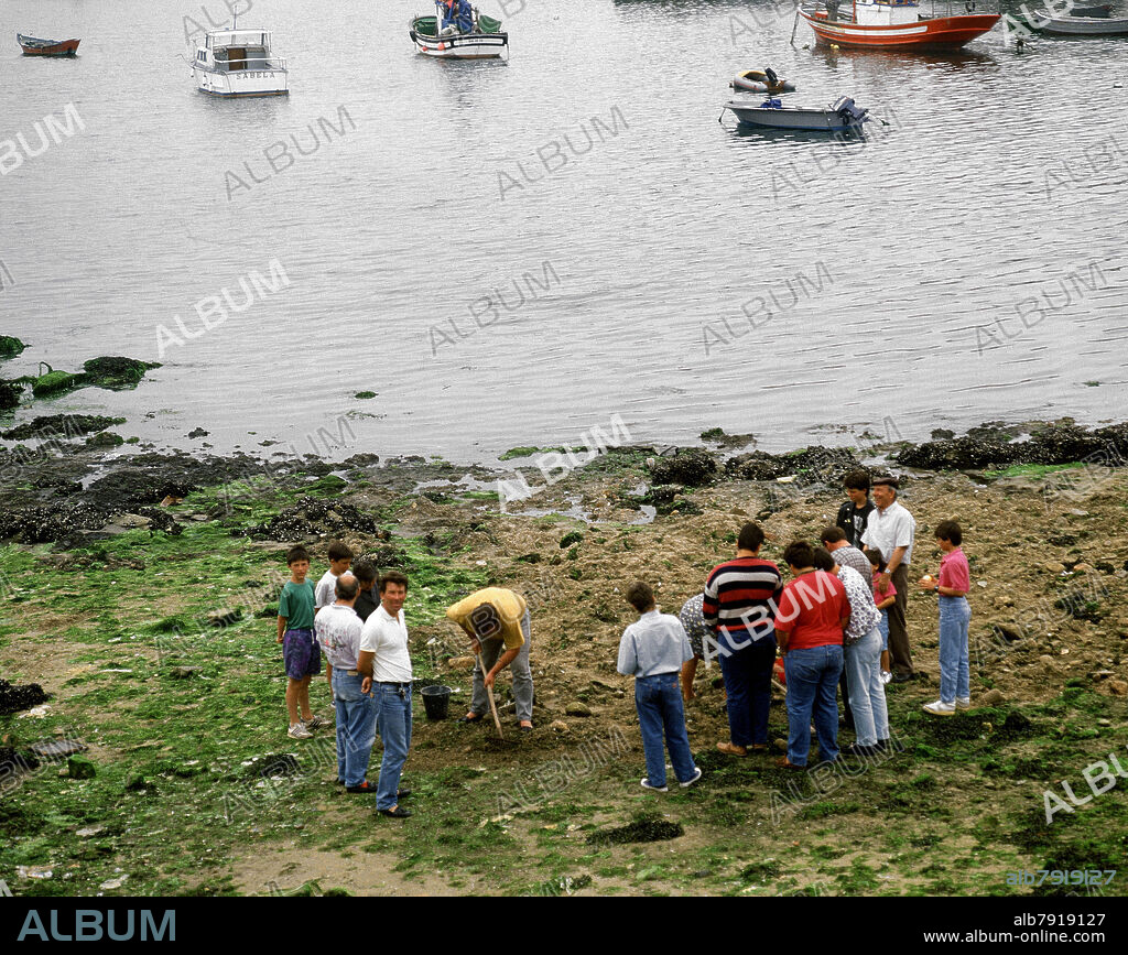 RIA CON BARCAS PESQUERAS Y GENTE COGIENDO MARISCO EN BAJAMAR - FOTO AÑOS 90.