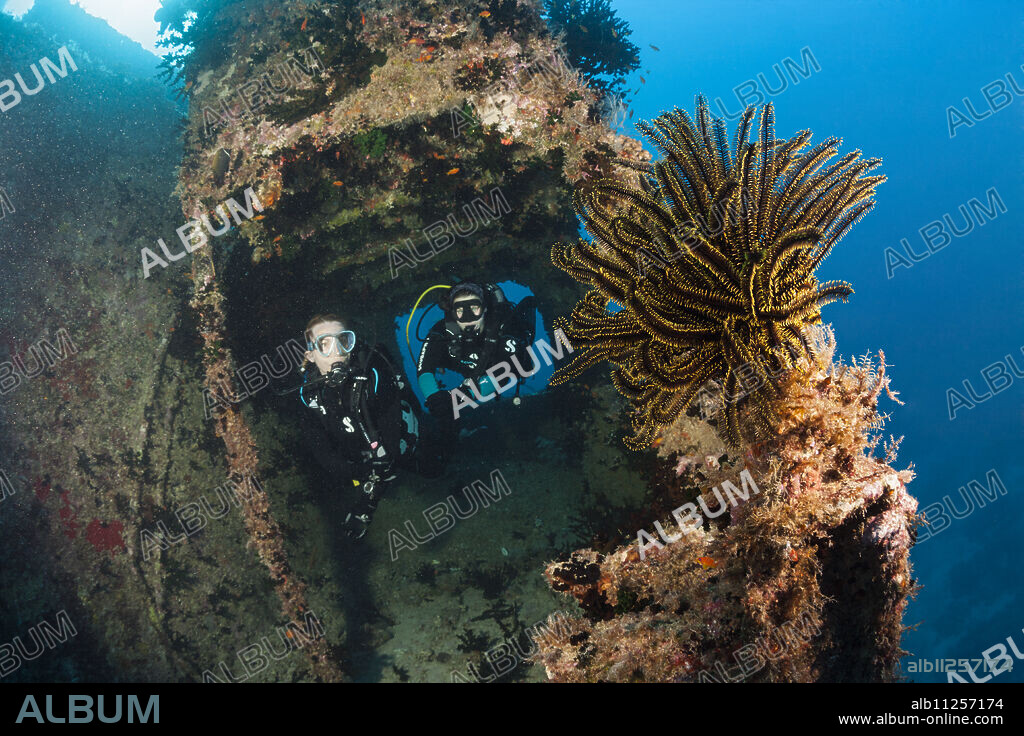 Scuba Diver explore Stern of Maldive Victory Wreck, Hulhule, North Male Atoll, Maldives.
