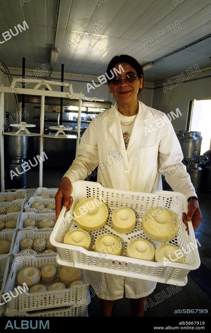 Tronchón; fábrica de queso artesanal (de cabra y oveja); El Maestrazgo.
