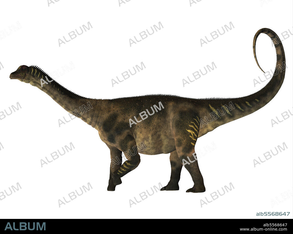Antarctosaurus dinosaur, side profile. Antarctosaurus was a herbivorous sauropod dinosaur that lived in the Cretaceous Period of South America.