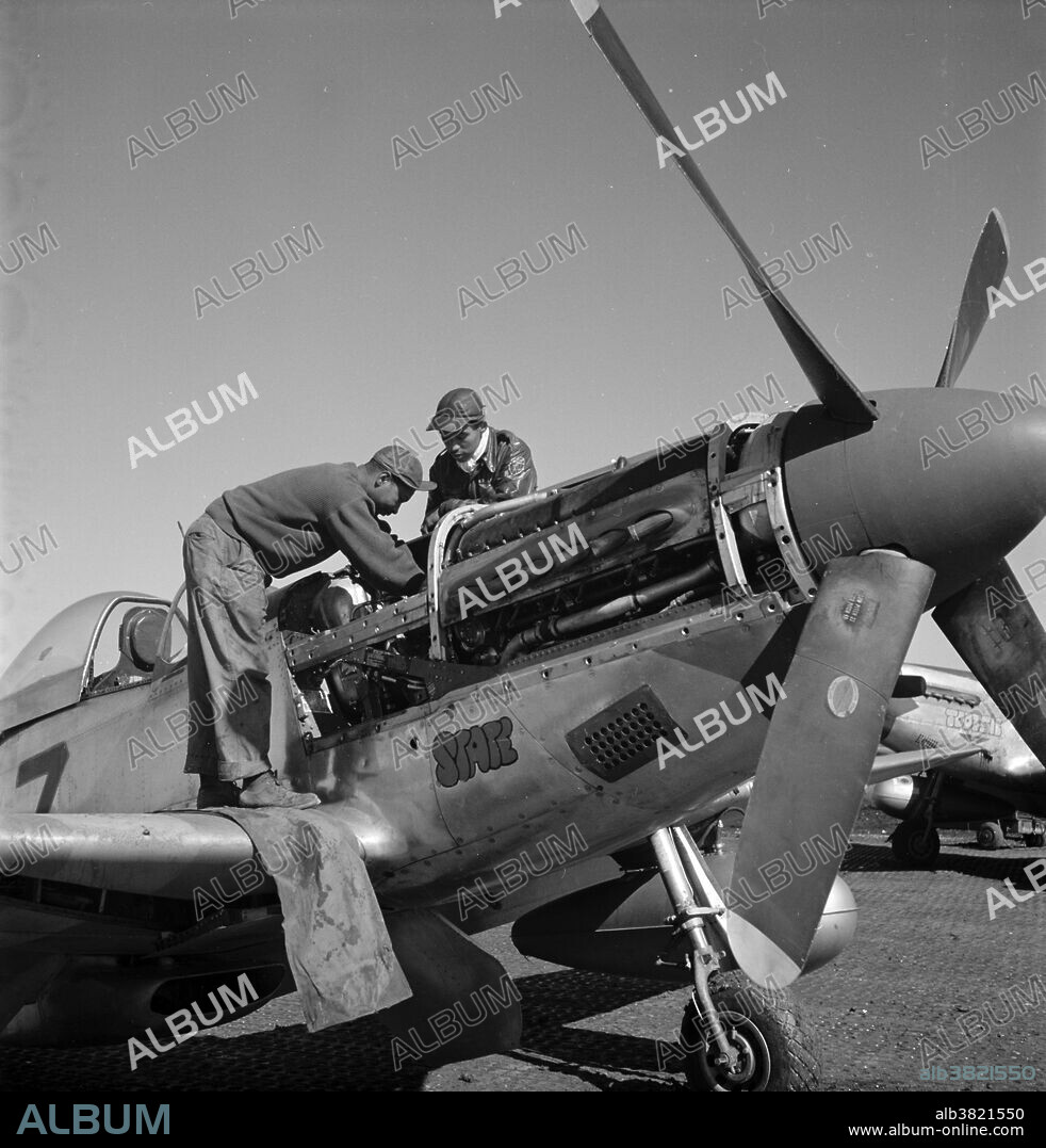 Entitled: "Tuskegee airmen Smith and Brown, Ramitelli, Italy" shows left to right, Marcellus G. Smith, Louisville, Kentucky, and Roscoe C. Brown, New York, NY Class 44-C. P-SC#11, "Tootsie," in background was assigned to Lowell Steward. The Tuskegee Airmen were the first African-American military aviators in the United States Armed Forces. During WWII, Black Americans in many U.S. states were still subject to the Jim Crow laws and the American military was racially segregated, as was much of the federal government. The Tuskegee Airmen were subjected to racial discrimination, both within and outside the army. The 332nd Fighter Group operated with the Fifteenth Air Force from May 1944 to April 1945, being engaged primarily in protecting bombers that struck such objectives as oil refineries, factories, airfields, and marshaling yards in Italy, France, Germany, Poland, Czechoslovakia, Austria, Hungary, Yugoslavia, Rumania, Bulgaria, and Greece. They also made successful strafing attacks on airdromes, railroads, highways, bridges, river traffic, troop concentrations, radar facilities, power stations, and other targets. The unit received a Distinguished Unit Citation for a mission on March 24, 1945 when the group escorted B-17s during a raid on the Daimler-Benz tank factory at Berlin, fought the Messerschmitt Me 262 jet interceptors that attacked the formation, and strafed transportation facilities while flying back to the base in Italy. Photographed by Toni Frissell March 1945.