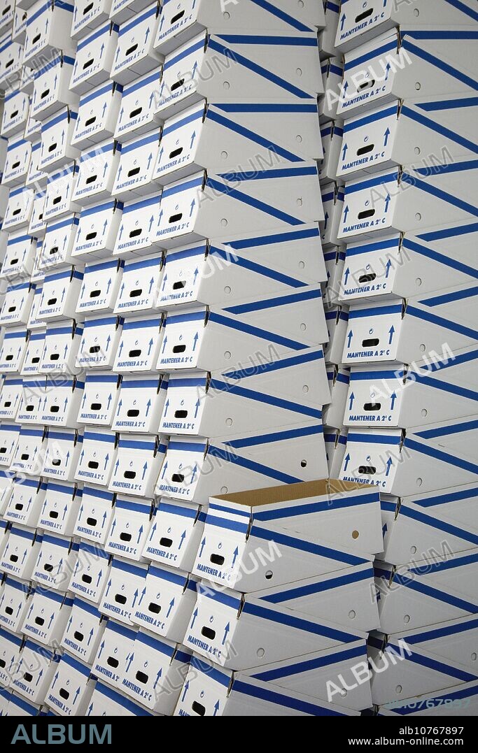 Packaging box, Agri-Food, Ayecue Fresh, Grupo Riberebro, Autol, La Rioja, Spain.