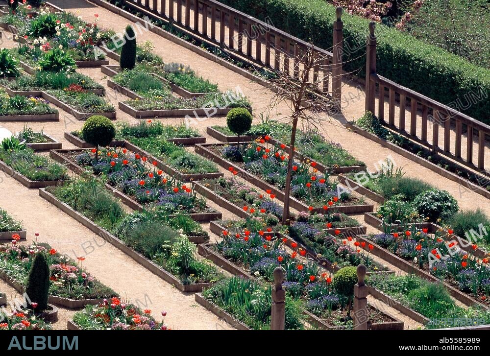 Leonberg (Baden-Württemberg), Schloss (erbaut 1560/65 unter Herzog Christoph von Württemberg), Schlossgarten (Terrassengarten, angelegt 1609/10 für Herzogin Sibylle; Architekt: Heinrich Schickardt; 1980 rekonstruiert). Blick vom Schloss auf die Terrasse. Foto (Florian Monheim).