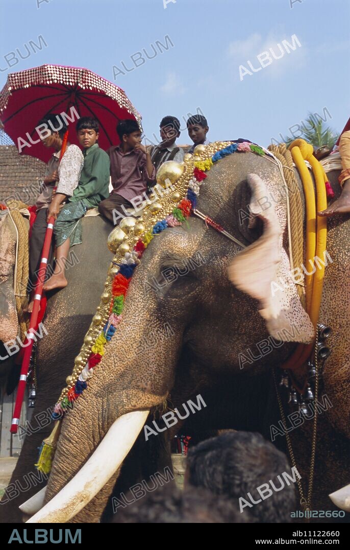 Mahoot and boys on decorated elephants at a roadside festival, Kerala State, India, Asia.