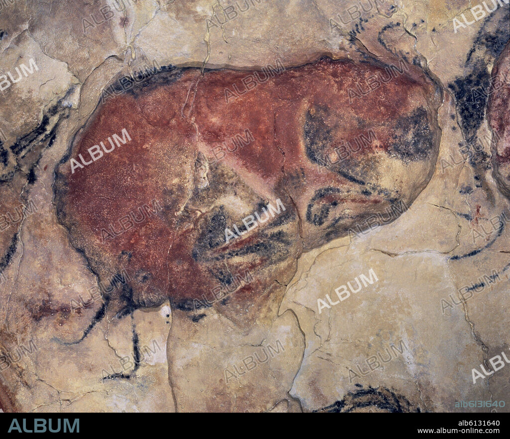DETALLE DE UN BISONTE EN LA REPRODUCCION DE LAS CUEVAS DE ALTAMIRA.