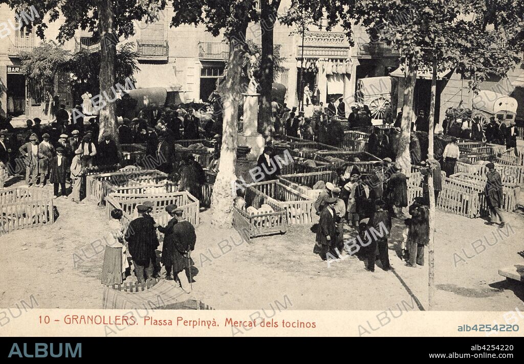 Tarjeta postal de Granollers, mercado de tocinos en la plaza Perpinya. Año 1912.