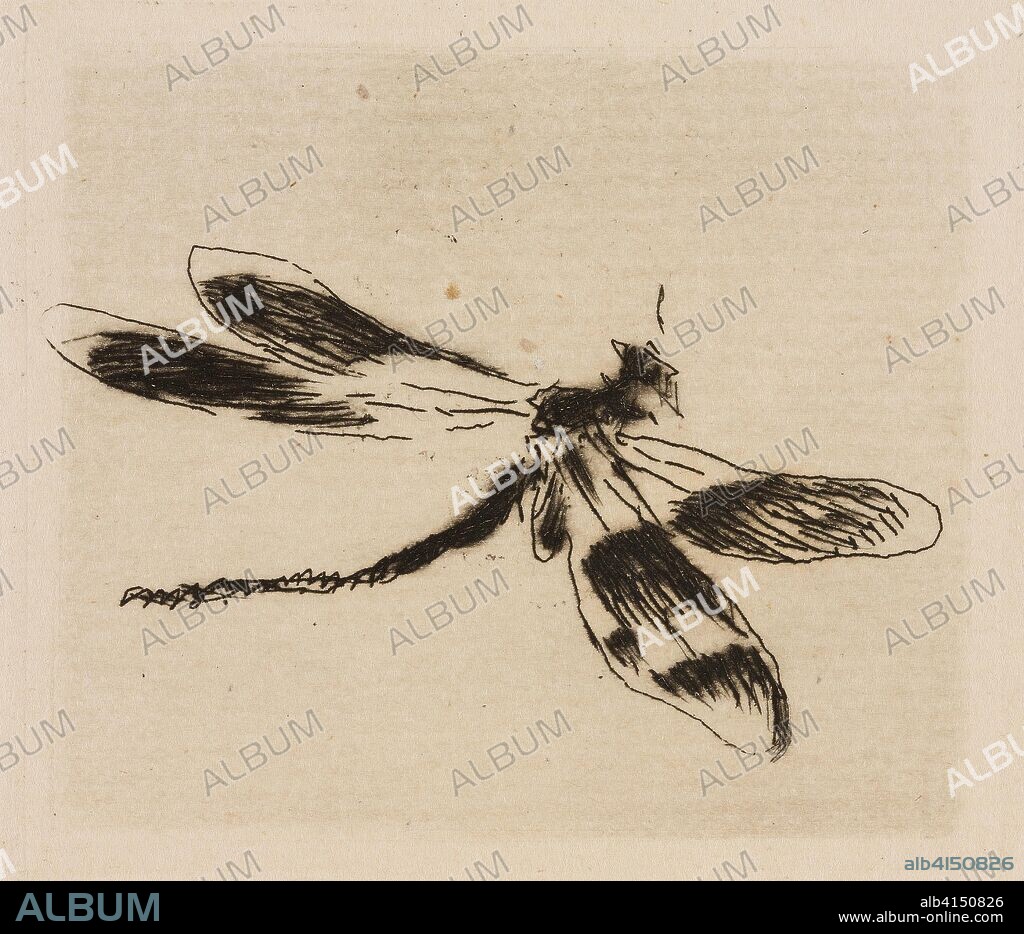 EDOUARD MANET. Dragonfly, plate 1 from Le Fleuve. Édouard Manet (French, 1832-1883); written by Charles Cros (French, 1842-1888); printed by Auguste Delâtre (French, 1822-1907) and Cochet (French, 19th century); published by Librairie de l'eau-forte (French, 19th century) and Richard Lesclide (French, 1825-1892). Date: 1874. Dimensions: 48 × 55 mm (image); 59 × 60 mm (plate); 276 × 237 mm (sheet). Etching, drypoint and aquatint in black on ivory laid paper. Origin: France.