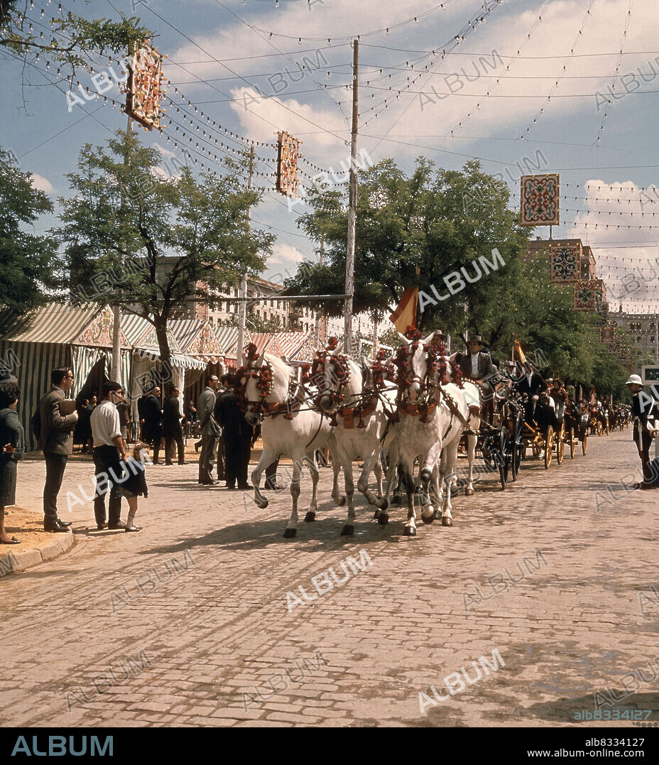 TRONCO DE CABALLOS ENJAEZADOS.