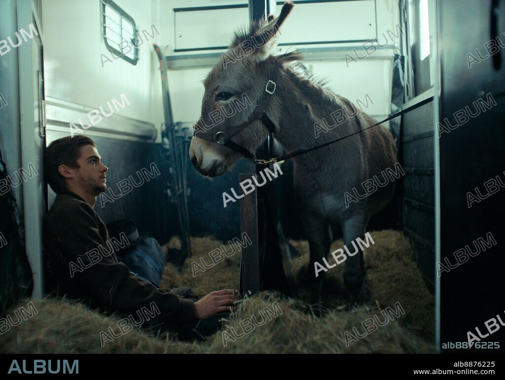 MATEUSZ KOSCIUKIEWICZ in EO, 2022, directed by JERZY SKOLIMOWSKI. Copyright Skopia Film / Alia Film.