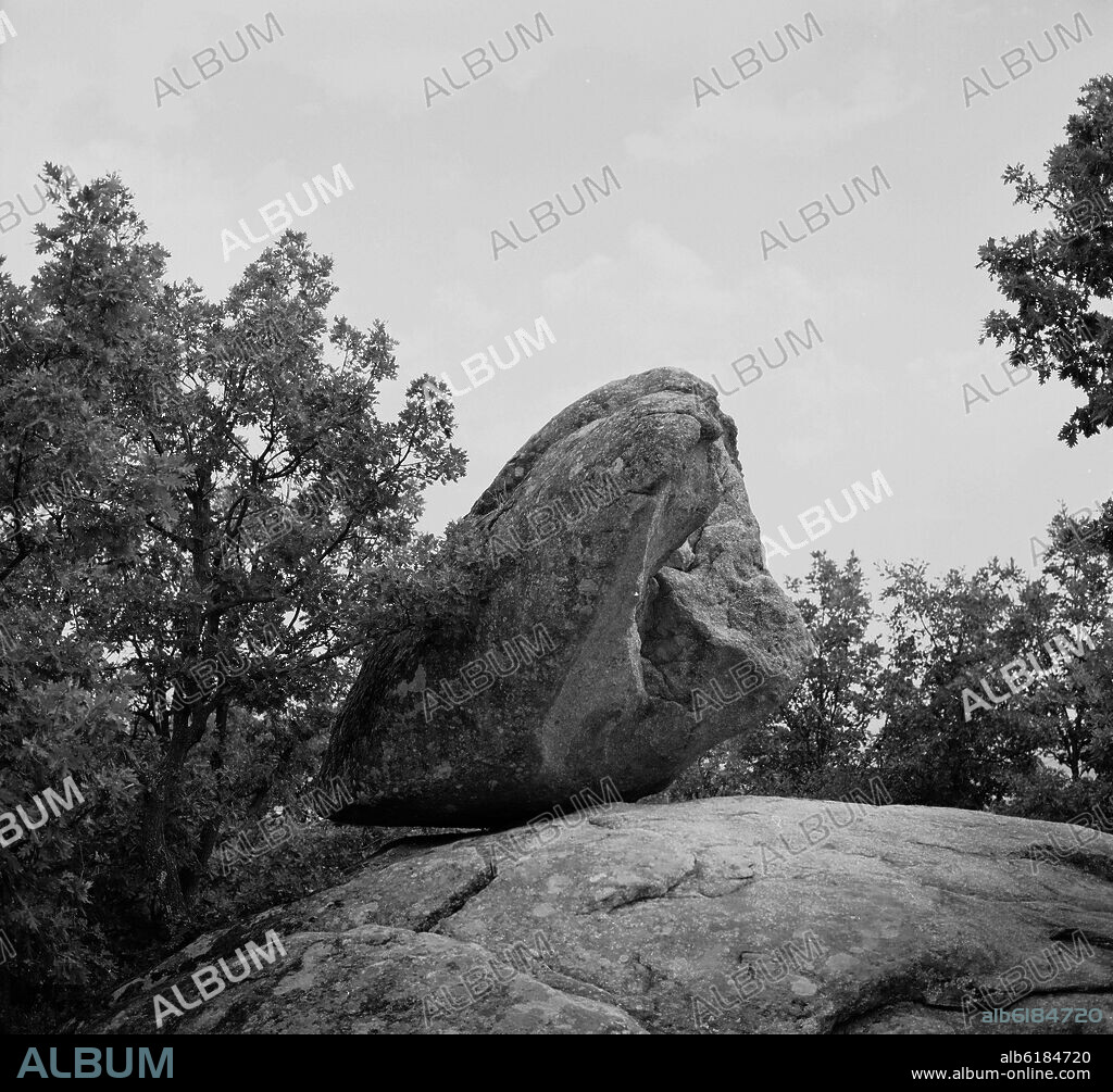 PIEDRA CABALLERA EN EL BOSQUE DE LA HERRERIA - FOTOGRAFIA EN BLANCO Y NEGRO - AÑOS 60.