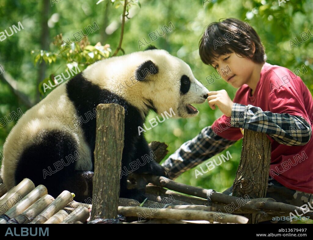 MOON, MI AMIGO PANDA, 2025 (MOON LE PANDA), dirigida por GILLES DE MAISTRE. Copyright Gaumont / Mai Juin Productions.