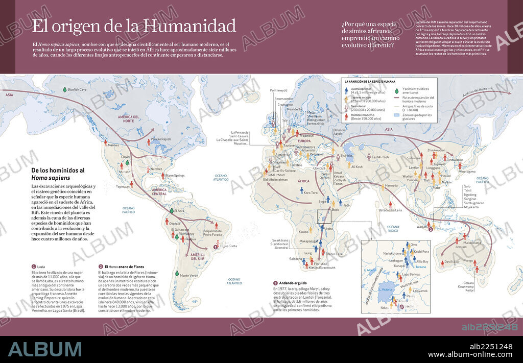 El origen de la Humanidad. Infografía que sitúa el origen y la expansión geográfica de la especie humana: desde los australopitecus hasta el hombre moderno (de 4 millones de años a 150.000 años).