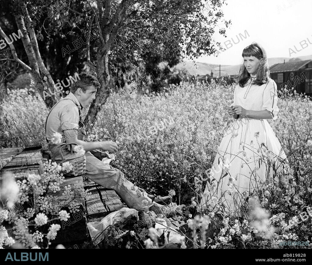 JAMES DEAN y JULIE HARRIS en AL ESTE DEL EDÉN, 1955 (EAST OF EDEN), dirigida por ELIA KAZAN. Copyright WARNER BROTHERS.