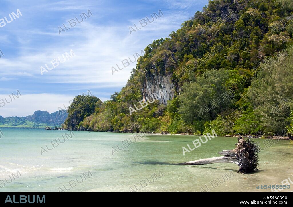 The varied coastal landscape of Hat Chao Mai National Park includes mangrove creeks, coastal karsts, and hidden beaches accessed through caves. Some of Trang’s many offshore islands, are under park protection including Ko Kradan, Ko Cheuk and Ko Muk. Rare dugongs can sometimes be spotted in the shallow waters and seagrass beds between the mainland and the islands; other mammals include sea otters and dolphins at sea, and langur, macaque, pangolin and wild boar on land. Trang province was dependent on tin mining until the first rubber seedlings were brought into Thailand around 1901 – part of a long journey from South America via the neighboring Malay States. Rubber, palm oil and fishing are the mainstays of the province's economy. Tourism is making an increasing impact as Trang’s Anadaman Coast and islands are increasingly developed and popularized.