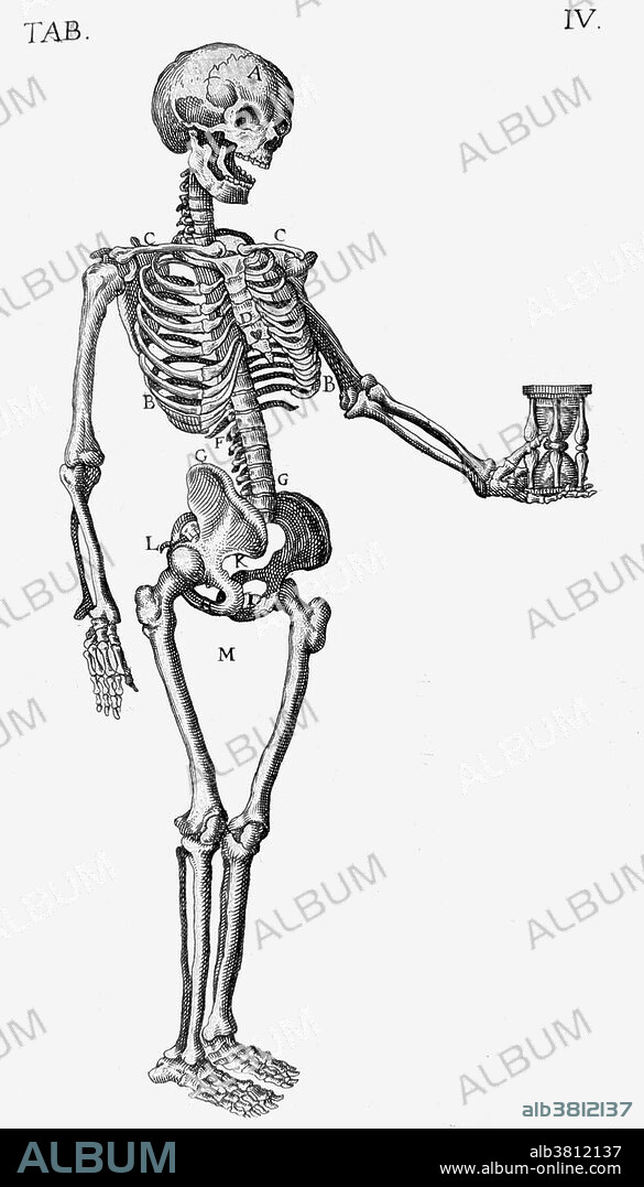 Historical artwork of a human skeleton holding an hourglass, by Felix Platter, c. 1593. This image symbolizes death or the passage of time.